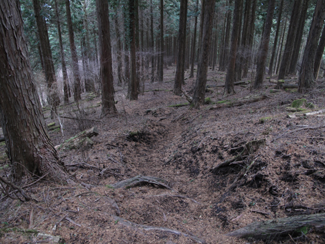 20160121hike (281)